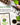 Home Grown 10 Culinary Herb Seeds Non-GMO, Heirloom Seeds - 3000+ Seeds for Planting for Outdoor or Indoor Planting