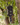 Survival Neck Knife