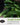 Survival Garden Seeds Vegetable Garden Collection 15 Heirloom Vegetables Seed Varieties
