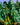 Mountain Valley Seed Company - Vegetable Garden Non-GMO 50,000+ Seeds (16 Varieties)