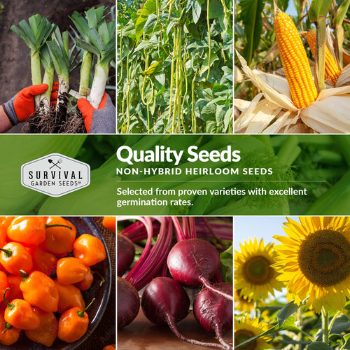 Survival Garden Seeds Homesteader 50 Heirloom Seed Packets (Non-GMO)