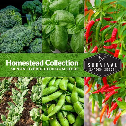 Survival Garden Seeds Homesteader 50 Heirloom Seed Packets (Non-GMO)