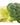 Fresh and Honest Foods Freeze-Dried Mixed Vegetables 100% All Natural (Broccoli and Cauliflower) 6.0 OZ #10 Can