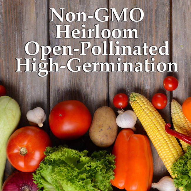 Mountain Valley Seed Company - Vegetable Garden Non-GMO 50,000+ Seeds (16 Varieties)