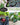 Survival Garden Seeds Farmer Seed Vault - 100 Seed Varieties