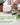 Grow Your Own Veggies Starter Kit - Over 8,000 Seeds (20 Variety Pack)