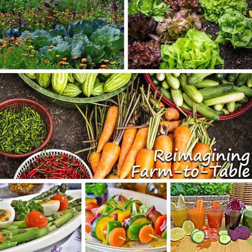 Mountain Valley Seed Company - Vegetable Garden Non-GMO 50,000+ Seeds (16 Varieties)