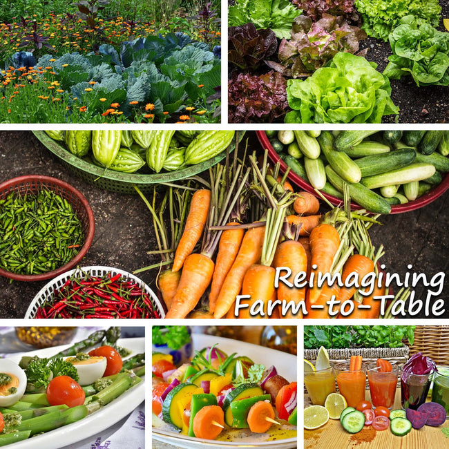 Mountain Valley Seed Company - Vegetable Garden Non-GMO 50,000+ Seeds (16 Varieties)