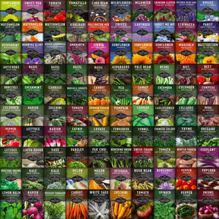 Survival Garden Seeds Farmer Seed Vault - 100 Seed Varieties