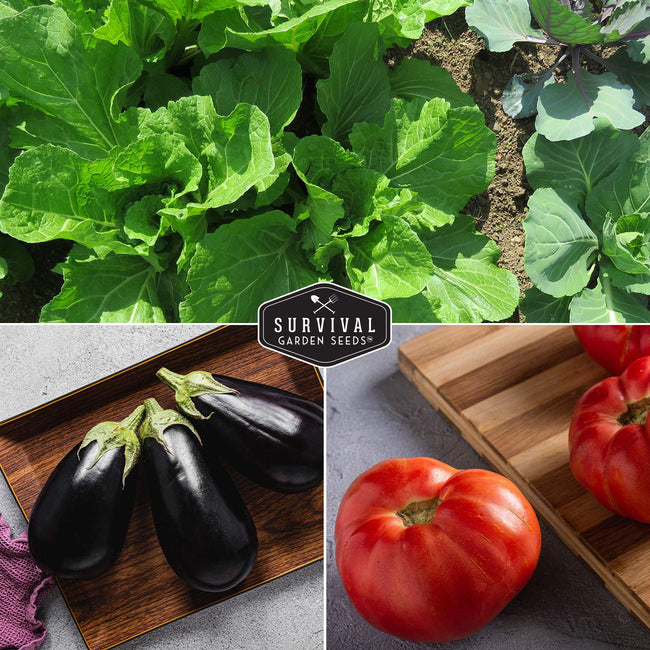 Survival Garden Seeds Vegetable Garden Collection 15 Heirloom Vegetables Seed Varieties