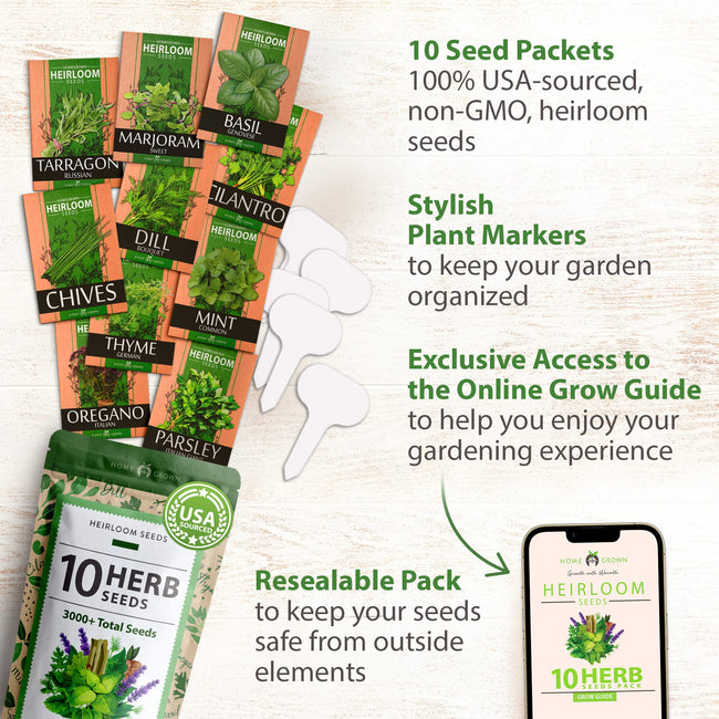 Home Grown 10 Culinary Herb Seeds Non-GMO, Heirloom Seeds - 3000+ Seeds for Planting for Outdoor or Indoor Planting