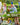 Survival Garden Seeds Farmer Seed Vault - 100 Seed Varieties