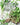 MOTHER EARTH NEWS COOKING WITH HERBS, 1ST EDITION