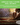 Family Home Garden Kit - 30 Easy to Grow Seeds for a Victory Garden