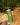 Nalgene OG Leave No Trace | 48oz