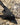 DOUG MARCAIDA SERBIAN CLEAVER: GRANDE FRATELLO