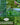 Family Home Garden Kit - 30 Easy to Grow Seeds for a Victory Garden