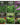 Hydroponic Herb Seed Collection