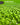 Hydroponic Herb Seed Collection