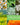 Medicinal Herb Collection - 18 Medicinal Herbs