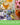 Medicinal Herb Collection - 18 Medicinal Herbs