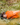 Tact Bivvy® 2.0 Emergency Sleeping Bag - (Orange)