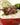Long Shelf Life Parboiled White Rice