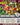 Rapid Grow Heirloom Seed Vault - 21 Varieties