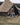 20' Regatta Bell Tent - Realtree Edge