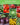 Vegetable Garden Collection - 15 Packs of Vegetable Seeds