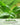 Starter Kit Seed Vault - 20 Delicious Varieties of Vegetables