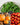 Starter Kit Seed Vault - 20 Delicious Varieties of Vegetables