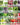 Survival Seed Vault Kit - 70 Heirloom Varieties for Self-Sufficient Gardening