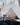 16' x 24' Alpha Wall Tent