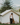 10' x 12' Alpha Wall Tent