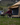 Altimus Bell Tent