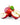 6 Pack Fruit & Vegetable Kit