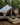16.5' Avalon Bell Tent