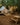 Avalon Bell Tent