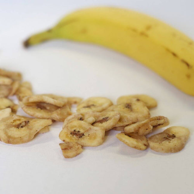 Rainy Day Foods Dehydrated Honey-Coated Banana Slices #2.5 Cans - 6 Pack