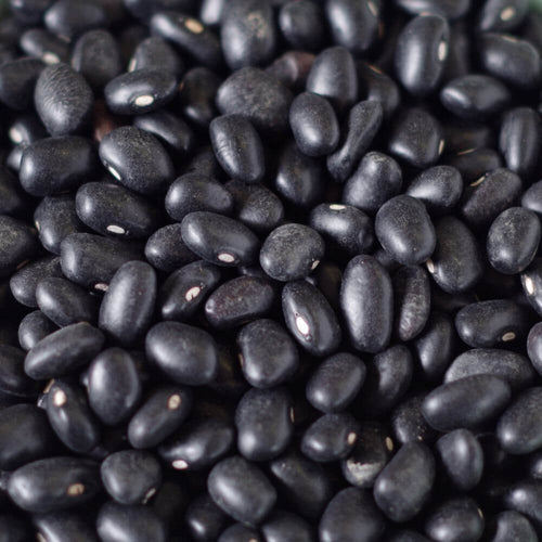 Rainy Day Foods Black Turtle Beans 5 Gallon 35 lb. Super Pail - 172 Servings