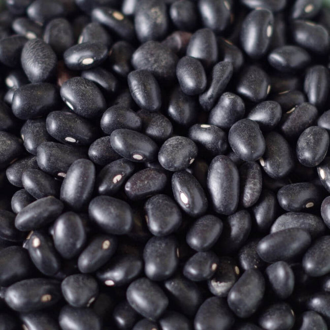 Rainy Day Foods Black Turtle Beans 5 Gallon 35 lb. Super Pail - 172 Servings