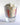 Rainy Day Foods Butter Powder 14 oz. #2.5 Can - 57 Servings