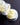 Rainy Day Foods Chicken Bouillon #10 Cans - 6 Pack