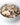 Rainy Day Foods Mushrooms 9 oz. #10 Can - 85 Servings