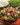 100% USDA Freeze Dried Beef Dices