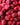 Rainy Day Foods Freeze Dried Whole Cranberries #2.5 cans - 6 Pack
