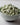 Rainy Day Foods Non-GMO Freeze-Dried Green Beans #10 Cans - 6 Pack