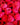 Rainy Day Foods Non-GMO Freeze-Dried Whole Raspberries 9 oz. #10 Can - 22 Servings