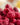 Freeze Dried Whole Raspberries Can, 23 Servings